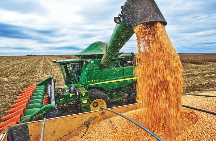 Brasil retoma liderança de maior produtor de soja do mundo