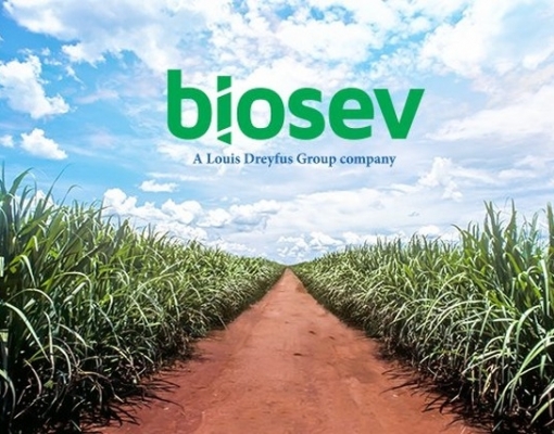 Biosev (BSEV3) tem prejuízo aumentado, segundo relatório trimestral