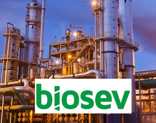 Raízen negocia possível compra da Biosev (BSEV3)